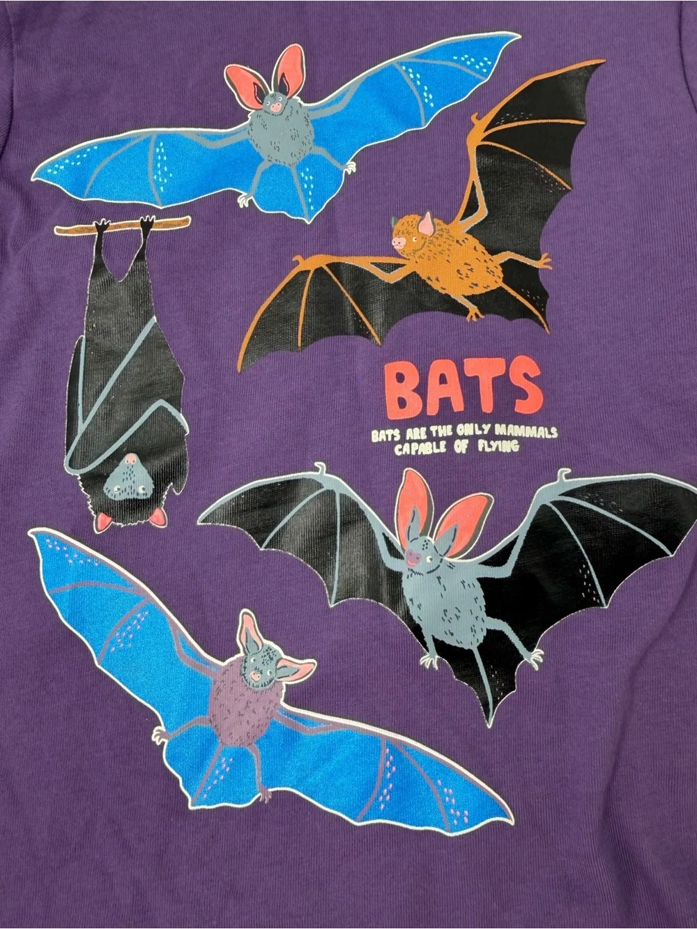 Mini Boden bats tee 2-3